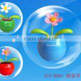 Solar Flower