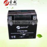 Yuasa Agm Battery for Motor/maintenance Free Battery