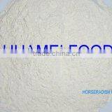Horseradish Powder thumbnail-1