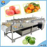 China Industrial Automatic Orange and Citrus Washing Machine thumbnail-1