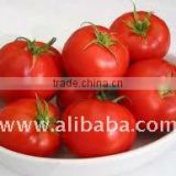CANNED PEELED TOMATOES from Italy in EVOO no preservatives