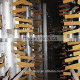 Livestock Pig Slaughter Line Carcass Cleaning Machine Slaughterhouse Equipment of Pig Slaughtering Equipment thumbnail-2