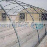 Tunnel Type Plastic Greenhouse thumbnail-1