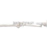 Vivid Human Body Anatomy Plastic Hand Bone Model thumbnail-2