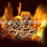 New Designed Wood Pellet Making Machine/wood Pellet Machine/small Pellet Machine thumbnail-5