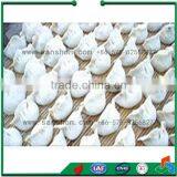 Food Processing Blast Freeze Machine Quick Freezer thumbnail-3