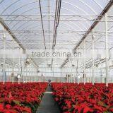 RoughBrothers PolyArch-RD2 Muli-span Galvanized Steel Frame Vegetable and Flower Greenhouse thumbnail-4