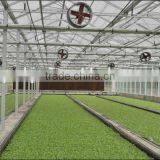 Multi-Span Commercial Agricultural Greenhouse Sales thumbnail-1