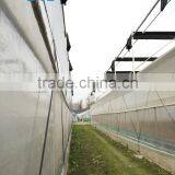 Tomato Hydroponic Greenhouse thumbnail-6