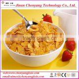 2016 New Equipment for Breakfast Cereals Food Machine Manufacturing / Corn Flakes Machinery /breakfast Cereals Machine thumbnail-3