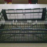 Foldable Crate With Mesh Plastic Injection Mould thumbnail-1