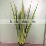 Factory Wholesale Fake Sanseviera Plant/agave Bonsai Plant Tree thumbnail-2