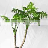 Oramental Green Bonsais thumbnail-4