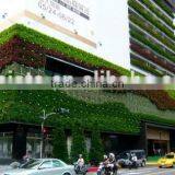 Boxwood Hedge Wall&Fence Factory Indoor/outdoor Use Fake Grass Wall thumbnail-4