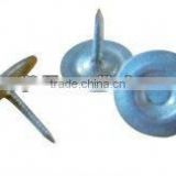 Galvanized Metal Round Cap Nails with factory price
