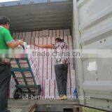 Magic Making Dry Yeast,granulated Ginger Tea,instant Dry Yeast Quality thumbnail-4