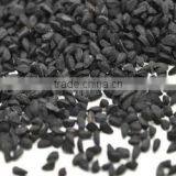 Babchi Seeds thumbnail-3