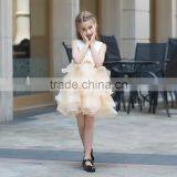 Hot Sale Net Fabric Ball Grown Dress for Baby Girl Summer Dress for Girl Ruffle Skirt Sleeveless thumbnail-3