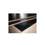 Film Faced Plywood thumbnail-1