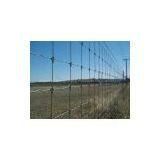 Grassland Fence/ Cattle Fence/ Field Mesh thumbnail-2