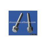 Sleeper Screw/screw Spike/railway Fastener thumbnail-1