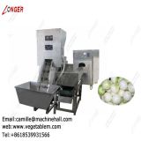 Onion Processing Machine Line|Onion Peeling and Root Cutting Plant|Onion Skin Remover Low Price