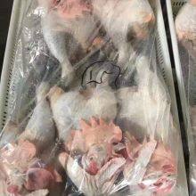 Fresh Frozen Bone Raw Chicken thumbnail-3