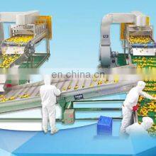 Automatic Industrial Complete Pineapple Juice Production Line thumbnail-3