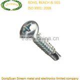 Customized Pan Head Screw