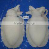 FROZEN CUTTLEFISH WHOLE CLEANED I F thumbnail-3