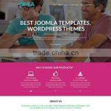 Web Designer thumbnail-4