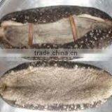 WONDERFUL PRICE DRIED SEA CUCUMBERS VIETNAM ORIGIN. thumbnail-2