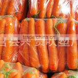 Factory direct supply High quality vegetable bags/bags for supermarket/anti-fog vegetable bags