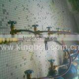 Gas Manifold