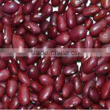Purple Round Beans 2013crops thumbnail-1