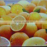 Plastic Table Mat thumbnail-1