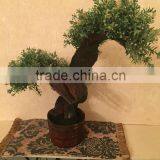 Artificial Bonsai