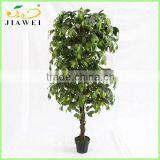 Indoor Artificial Ficus Tree Wooden Trunk for Sale