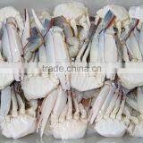 Frozen Half Cut Crab Cutting Swimming Crab