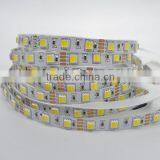 Newest !!! CCT Led Strip 5025 Warm White & Cool White Double Chip in 1 Led