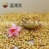 2016 Crop NON-GMO Yellow Soybean / Soy Bean for Oil/tofu/animal Feeds Organic thumbnail-4