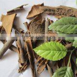 Rou Gui Cinnamon Broken Cinnamon Incense Stick thumbnail-3