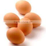 FRESH BROWN CHICKEN EGGS thumbnail-2