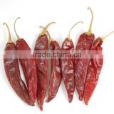 DRIED RED CHILI