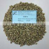 ARABICA GREEN COFFEE BEANS-HIGH QUALITY/ GOOD PRICE