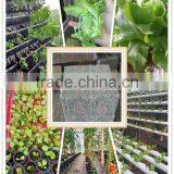 Popular Hot Size 1.5" Seed Growing Rockwool Cubes