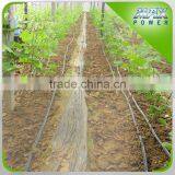 Drip Hose for Hungary Agricultural Land Irrigation thumbnail-4