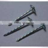 2 Inch Umbrella Head Roofing Nail Twisted Shank Roofing Nail With Factory Price thumbnail-3