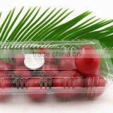 Disposable Cookies Plastic Container thumbnail-2