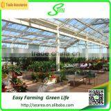 Low Cost Whole Sale Commercial Greenhouses thumbnail-3